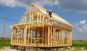 Каркасне будівництво: головні плюси і мінуси