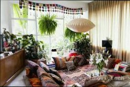 Boho-інтер’єр: шарм свободи та хаотична гармонія